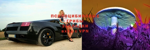 каннабис Алзамай
