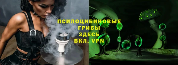 амф Алексин